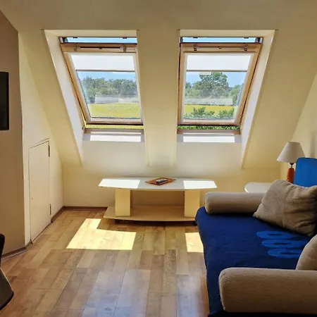 Carolmike Oasis Kamchia Reserve *